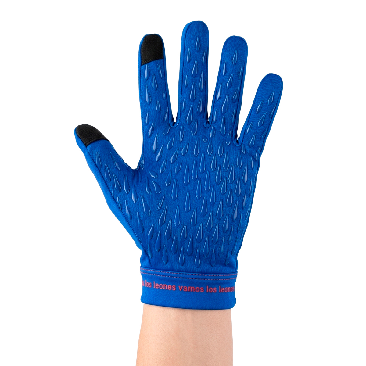 Guantes Térmicos U de Chile - Imagen 3